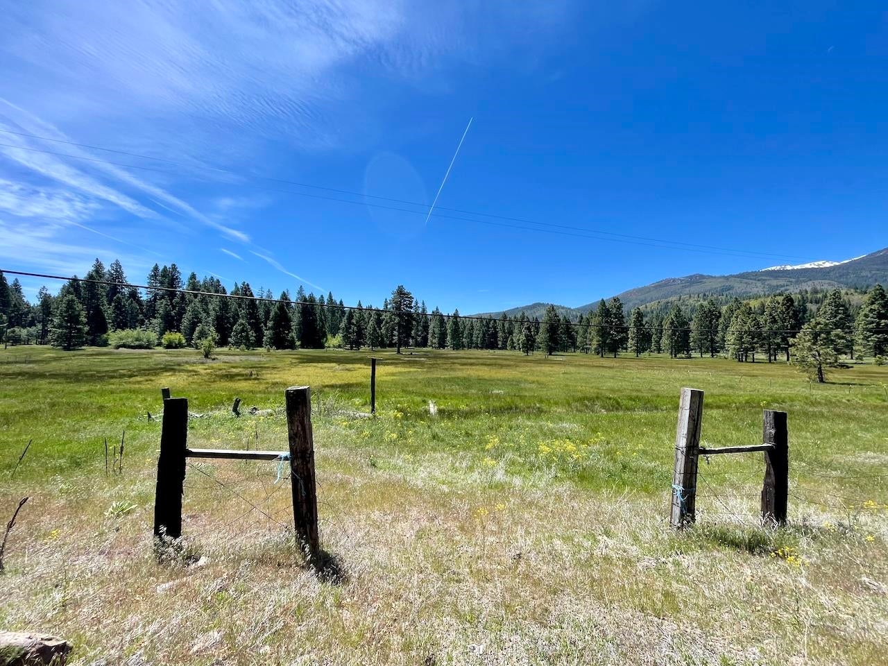 8 Acres Deetz Road Mount Shasta, CA 96067 - Photo 2 of 10 Gallery Image 2