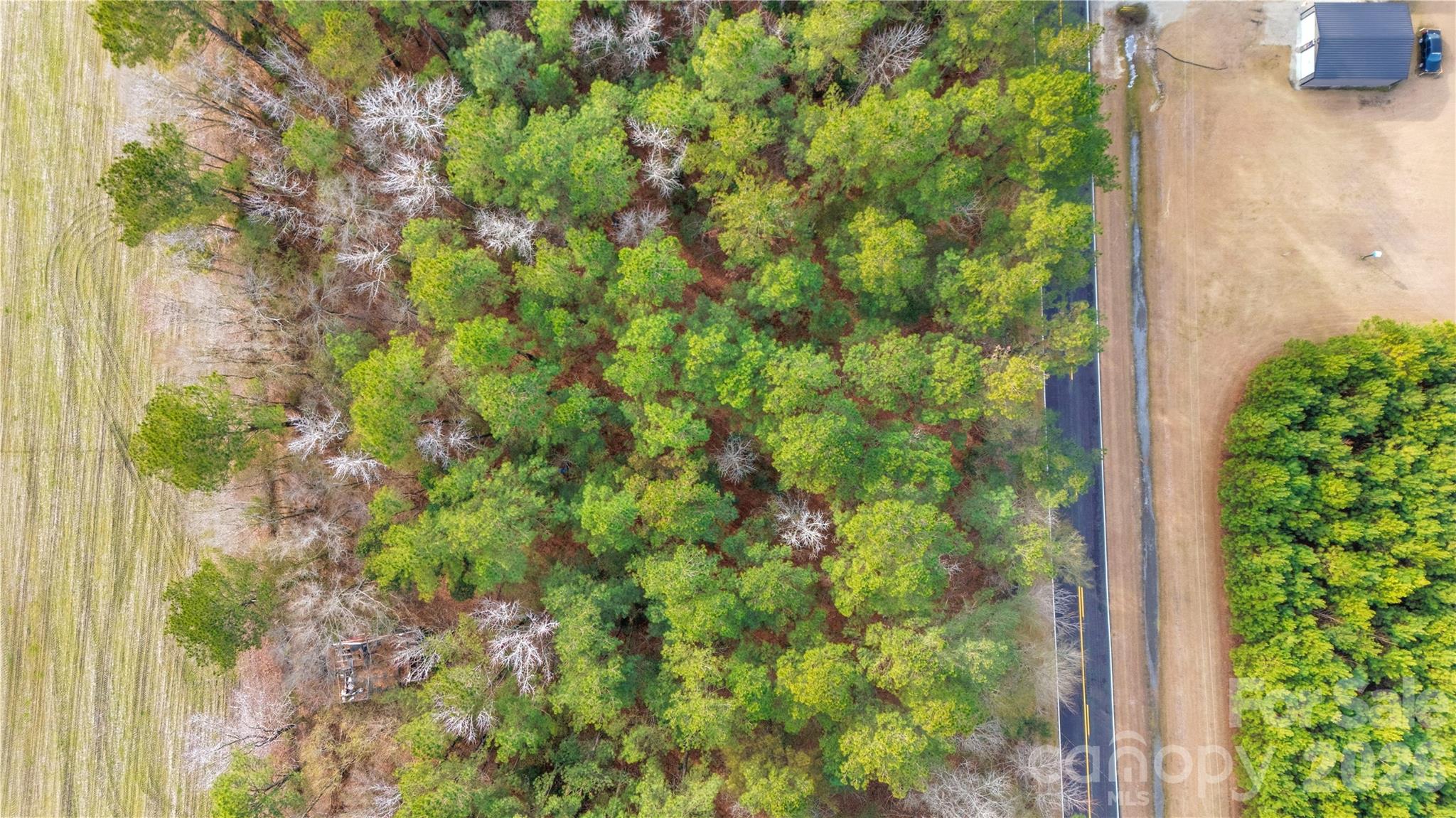 252 Long Corner Road Whiteville, NC 28472 - Photo 6 of 8 a view of a garden with plants