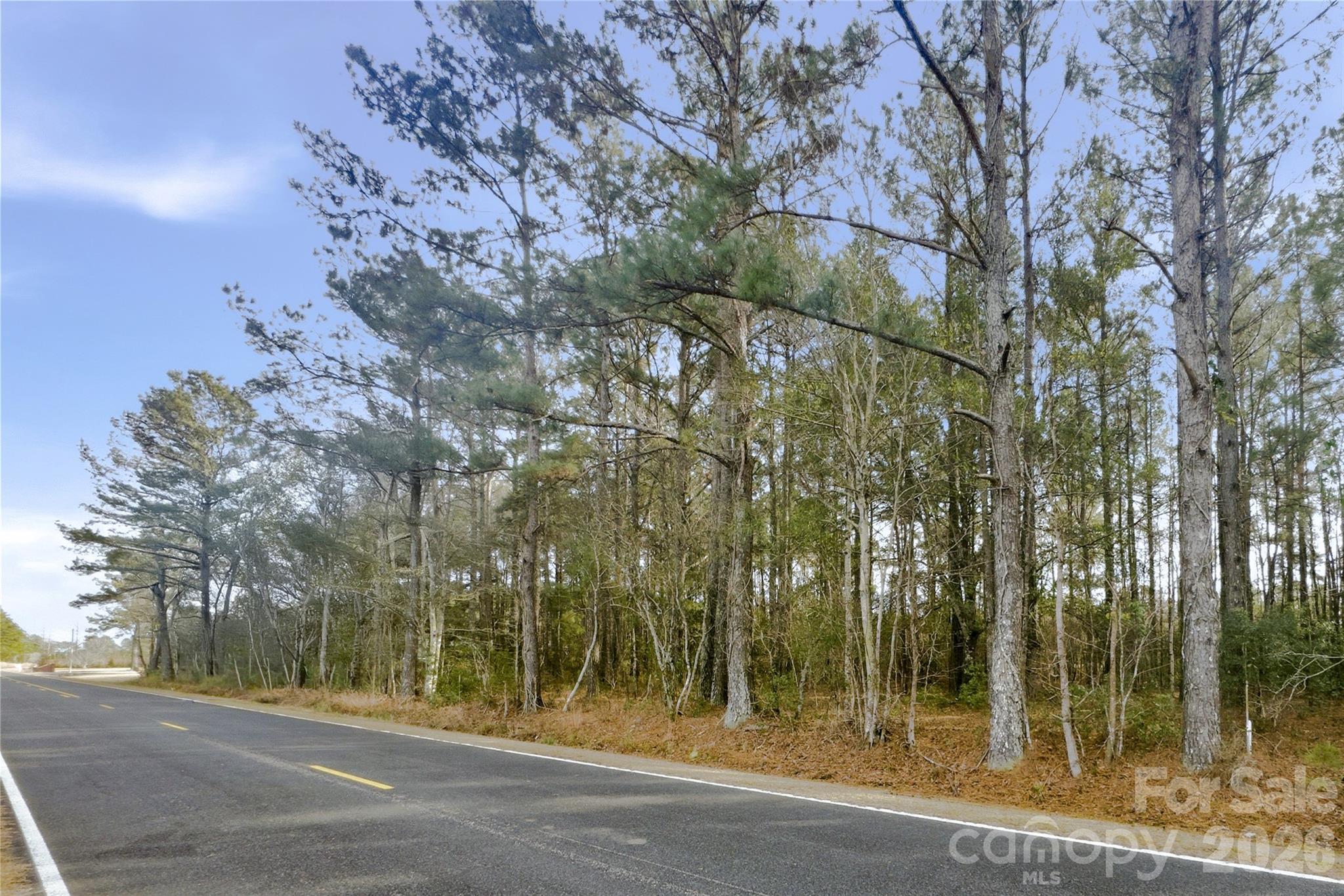 252 Long Corner Road Whiteville, NC 28472 - Photo 7 of 8 a view of a yard