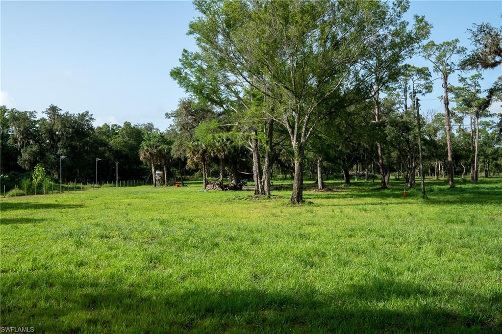 2115 Cr 78 Road North LaBelle, FL 33935 - Photo 2 of 10 View of yard