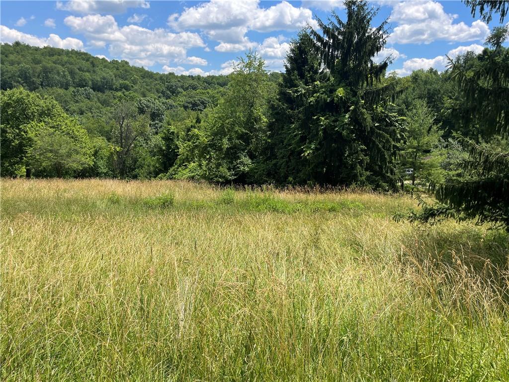0 Calhoun Road Elizabeth, PA 15037 - Photo 11 of 12