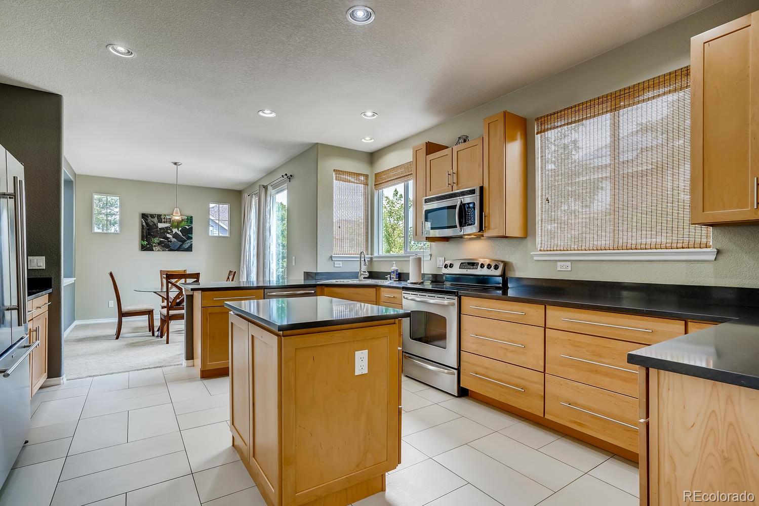 10750 Riverbrook Circle Highlands Ranch, CO 80126 - Photo 11 of 28 a kitchen with a sink a counter top space and stainless steel appliances