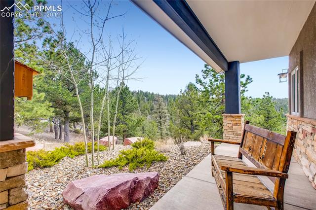 1655 Elk Ridge South Divide, CO 80814 - Photo 3 of 35