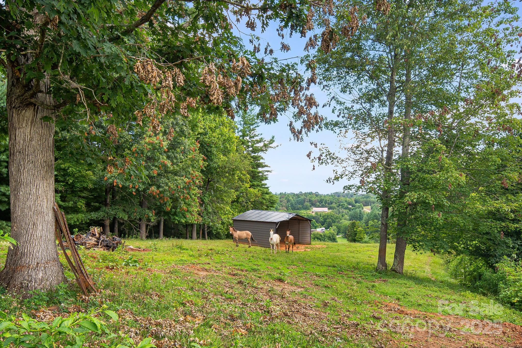 Tbd Don Felmet Road Marshall, NC 28753 - Photo 13 of 13 a garden view