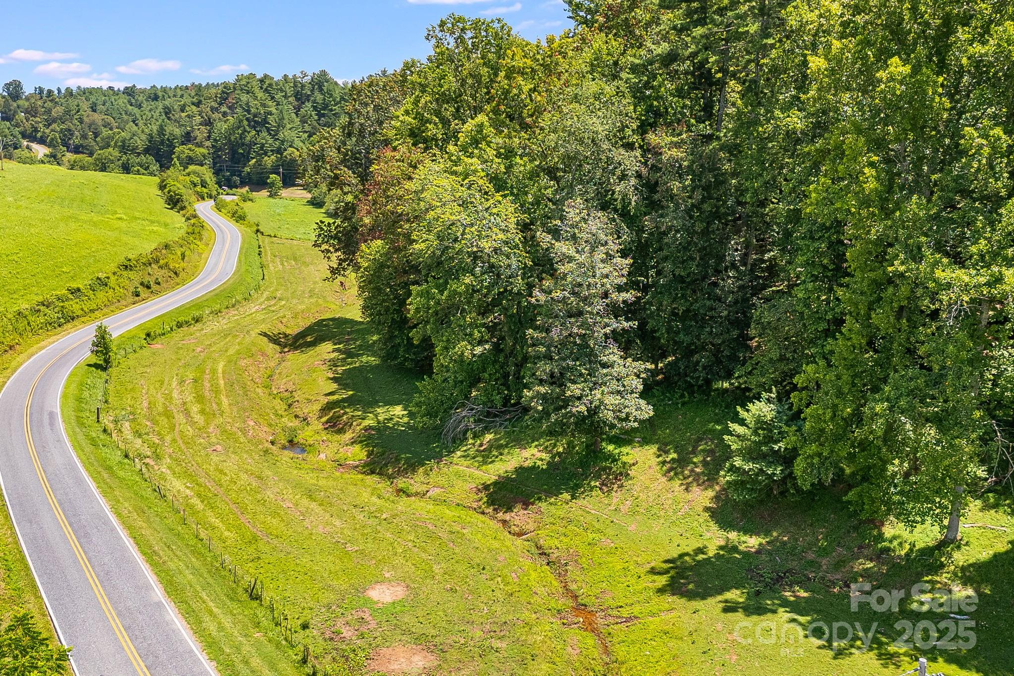 Tbd Don Felmet Road Marshall, NC 28753 - Photo 6 of 13 a view of a swimming pool with a garden