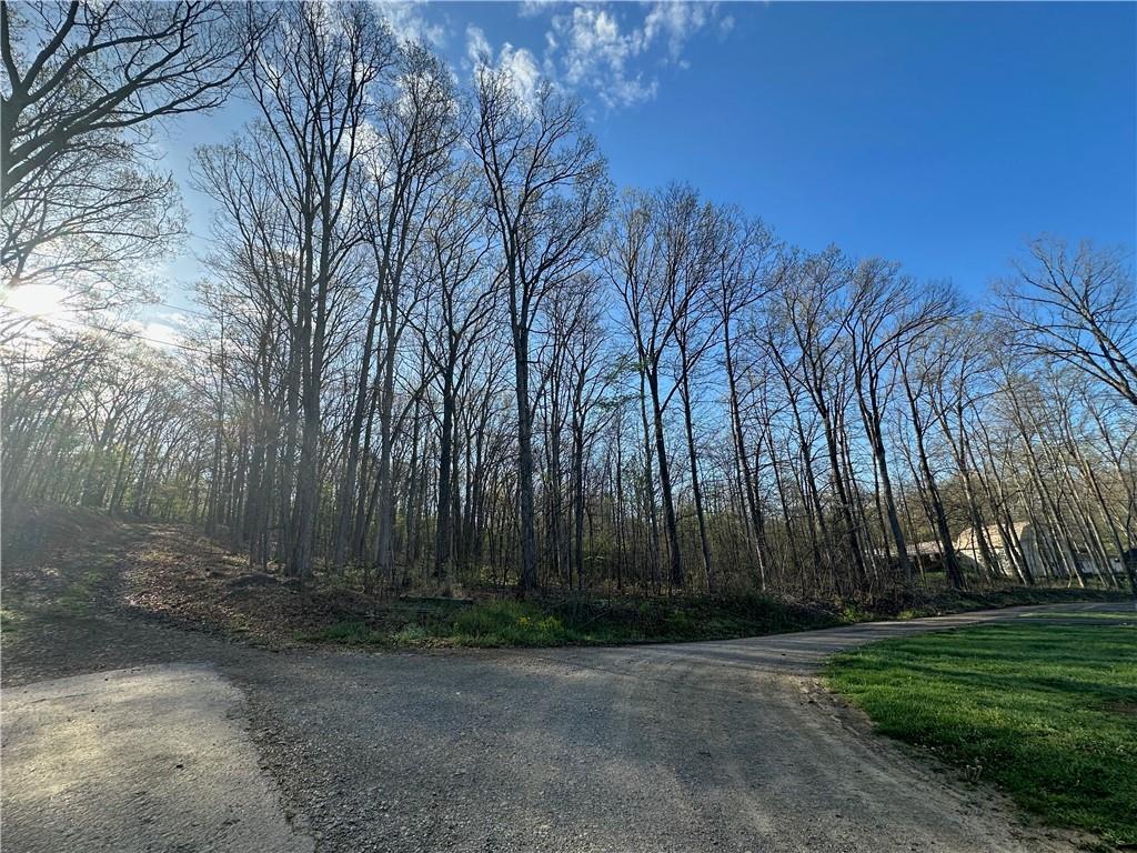 0 Swallow Road New Alexandria, PA 15670 - Photo 11 of 14 a view of backyard with large trees