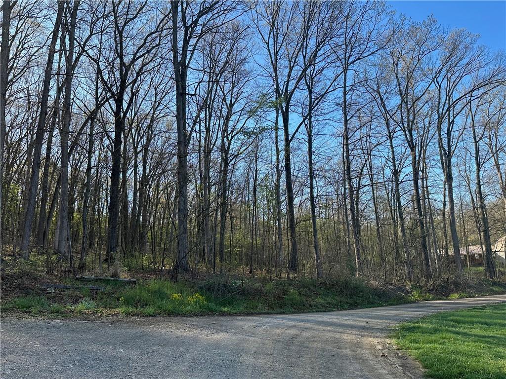 0 Swallow Road New Alexandria, PA 15670 - Photo 12 of 14 a backyard of a house with lots of green space