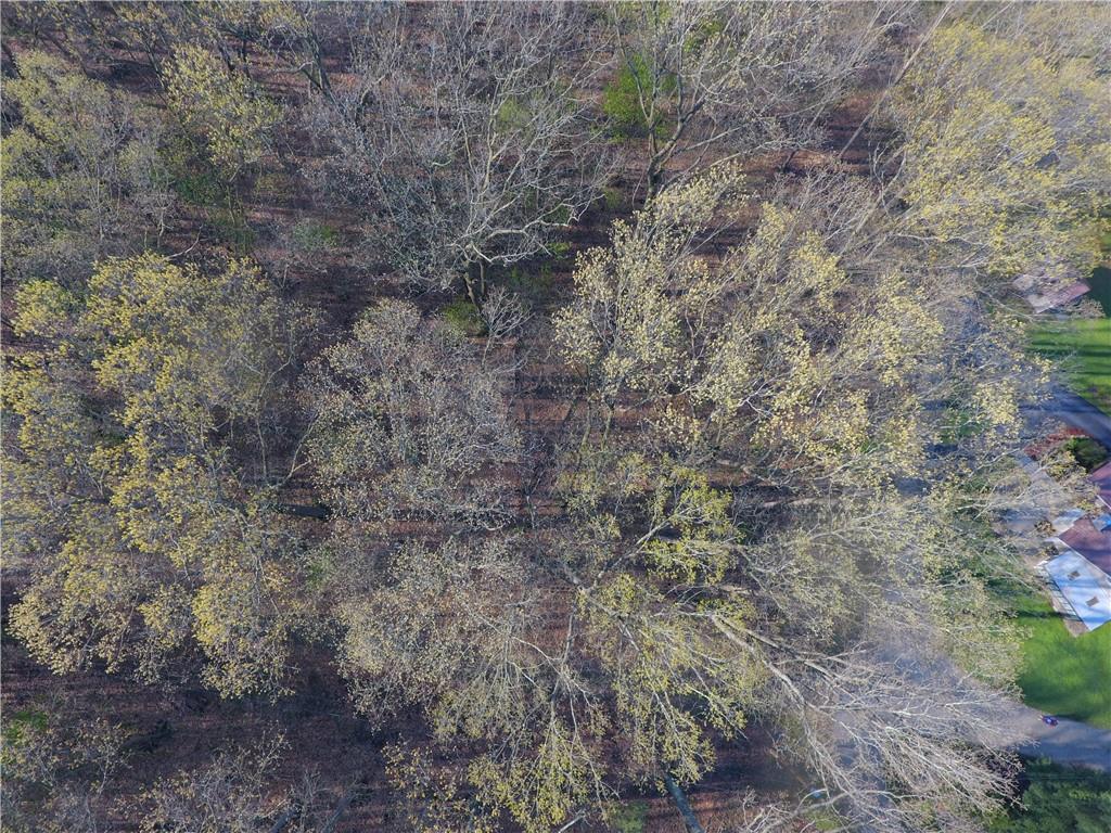 0 Swallow Road New Alexandria, PA 15670 - Photo 3 of 14 a view of a dry yard with green space