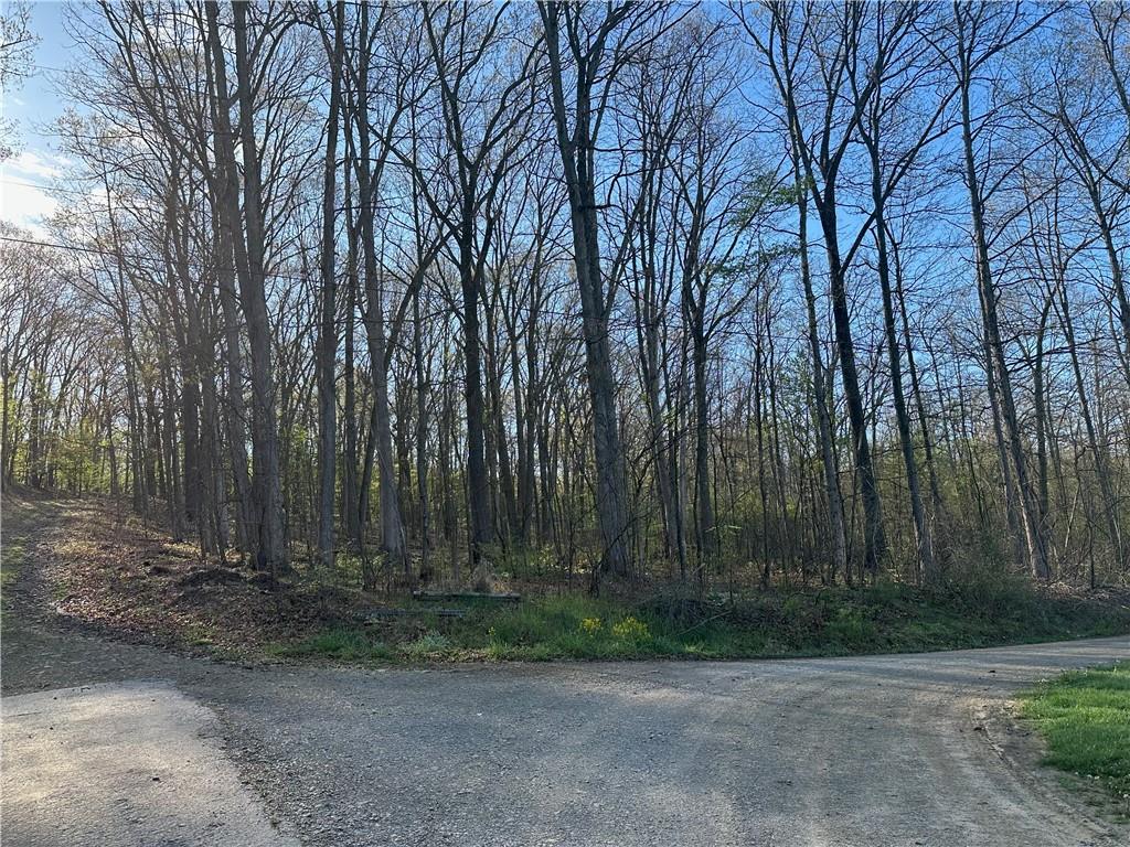 0 Swallow Road New Alexandria, PA 15670 - Photo 8 of 14 a view of backyard with green space