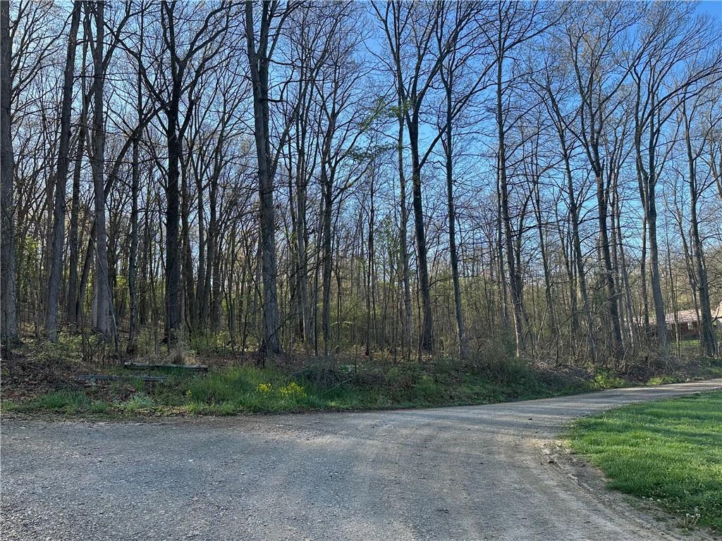 0 Swallow Road New Alexandria, PA 15670 - Photo 9 of 14 a view of backyard with green space