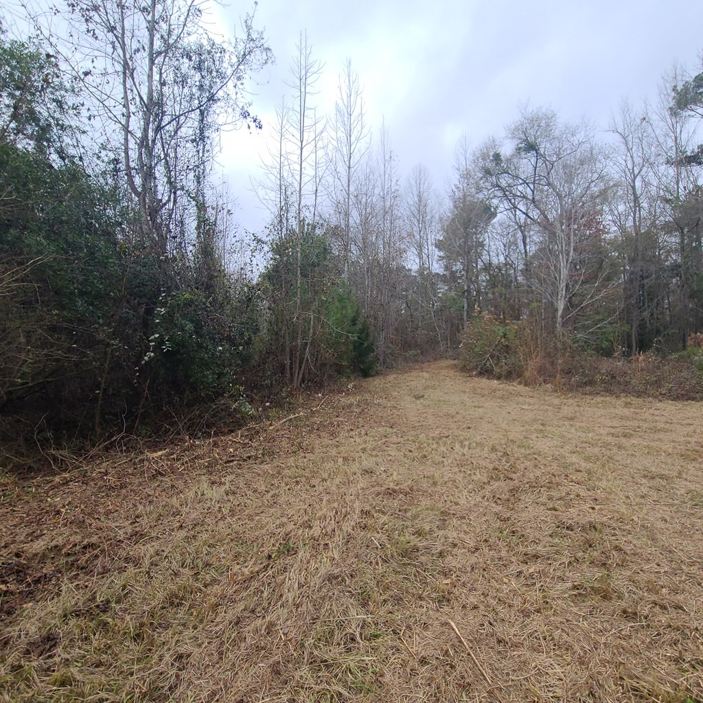 600 Main Street Jackson, SC 29831 - Photo 3 of 28