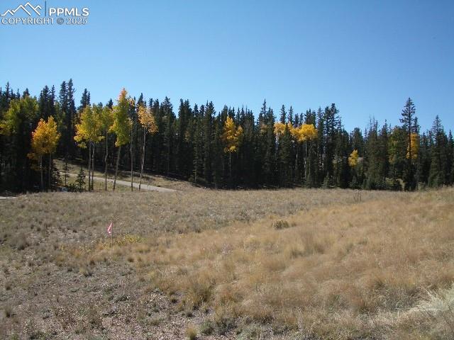 307 Pinaceae Heights Divide, CO 80814 - Photo 2 of 4 a view of outdoor space with mountain view