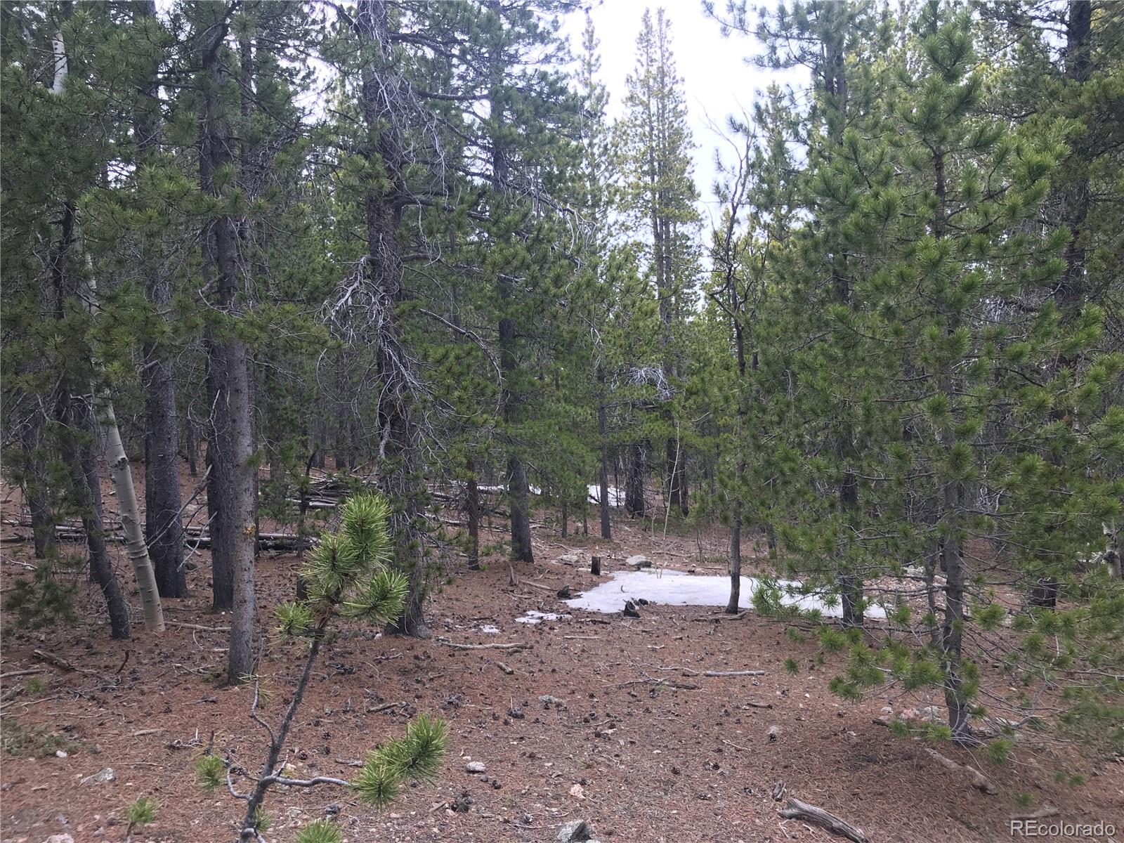 0 Aurora Road Black Hawk, CO 80422 - Photo 17 of 22 Gallery Image 17