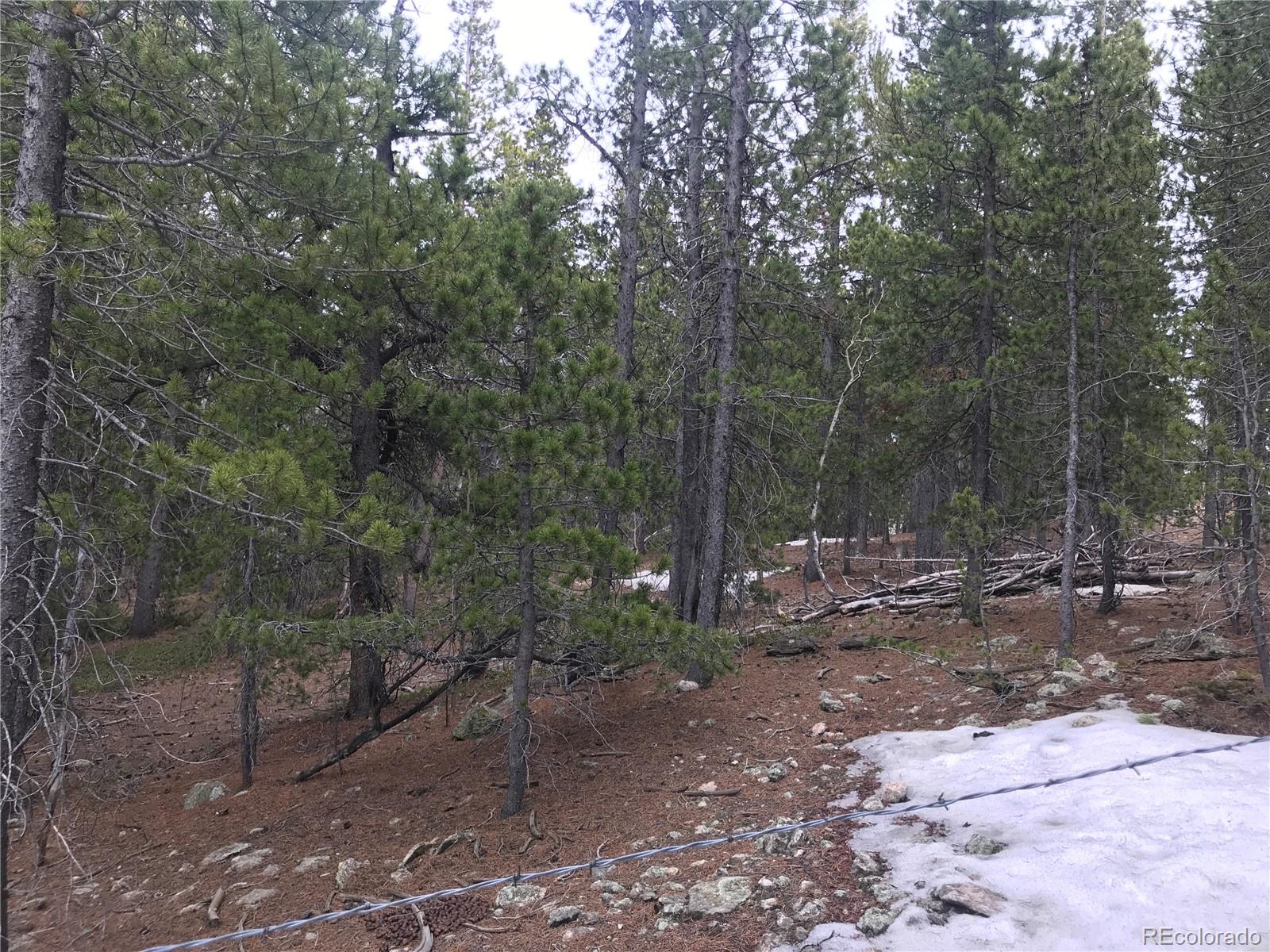 0 Aurora Road Black Hawk, CO 80422 - Photo 18 of 22 Gallery Image 18