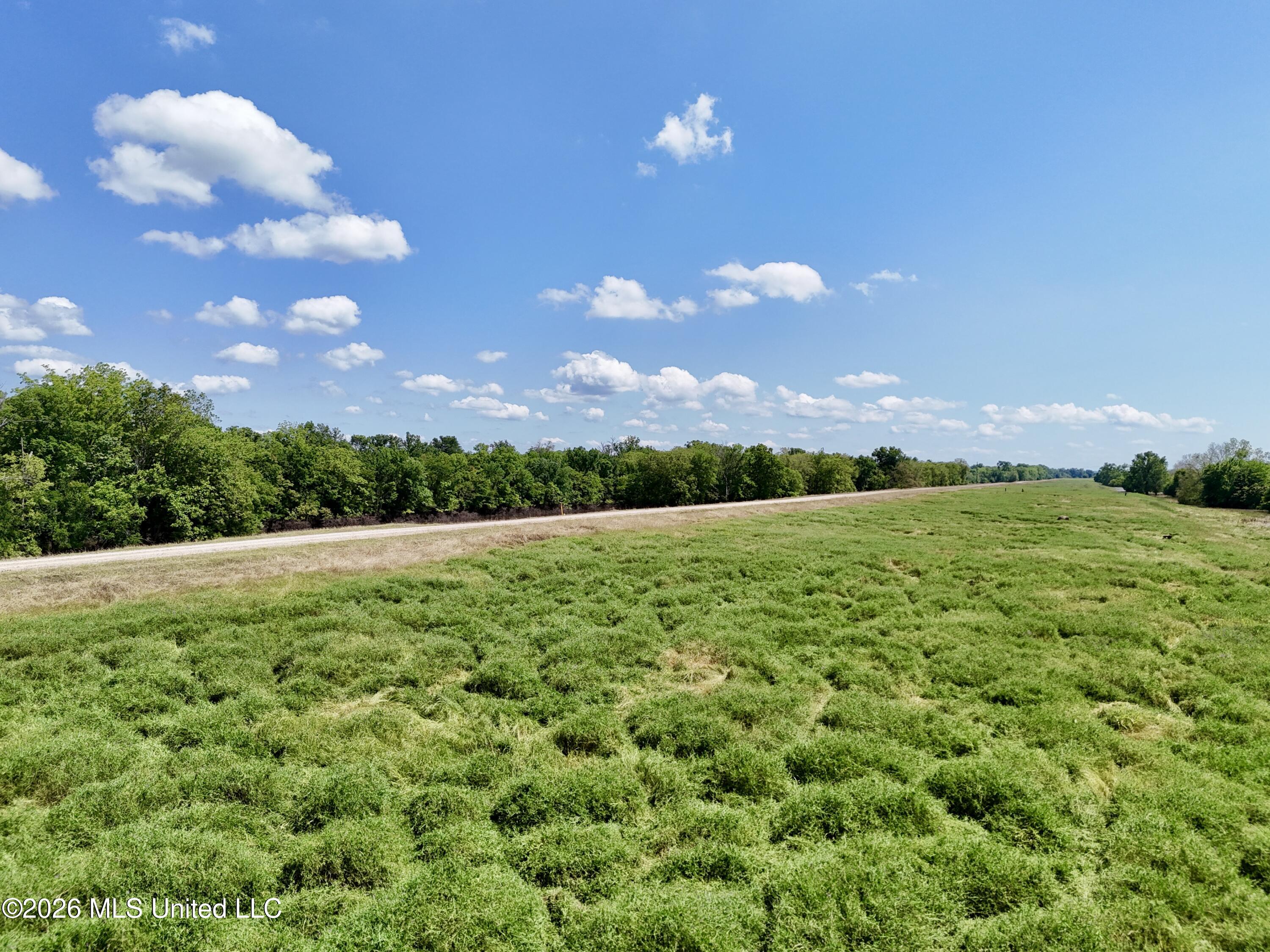 2 Levee Maintenance Road Redwood, MS 39156 - Photo 6 of 12 A87D9B67-F92F-403D-90DE-6A7E0950C86C