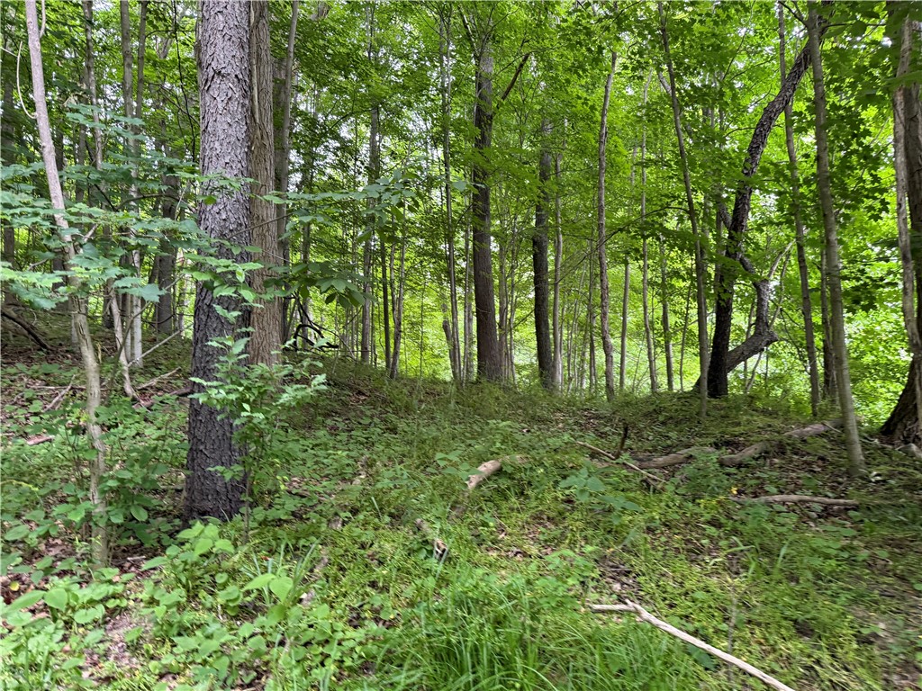 1592 Emerson Road Potter, NY 14507 - Photo 3 of 25
