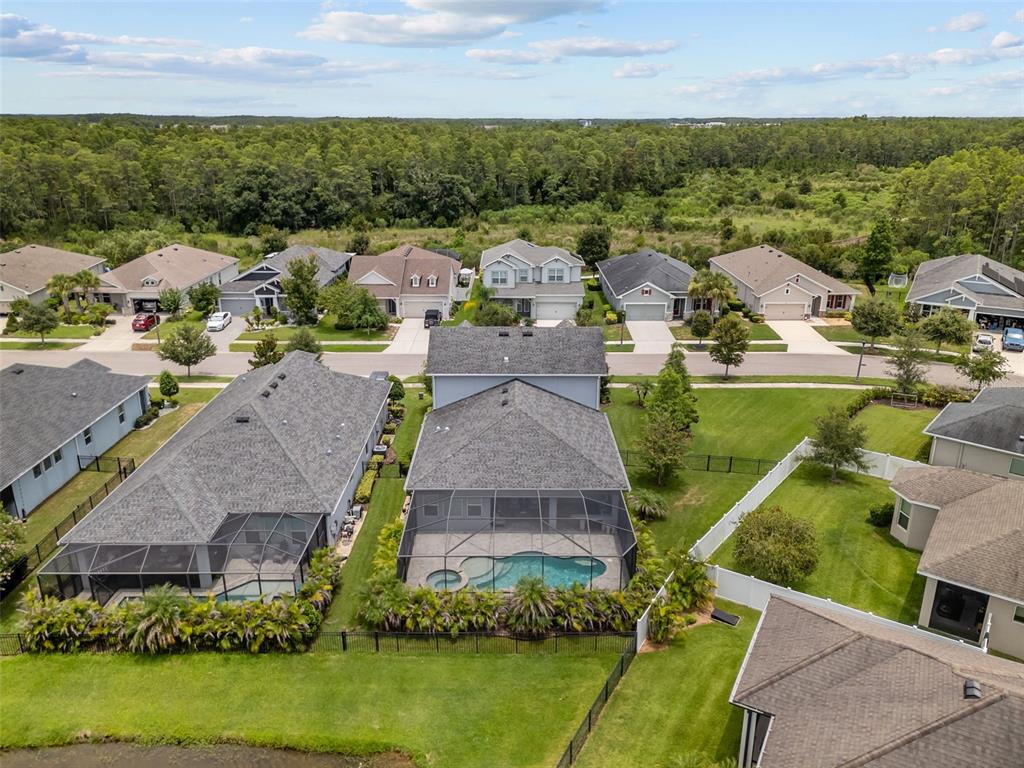 3164 Satilla Loop Odessa, FL 33556 - Photo 38 of 52