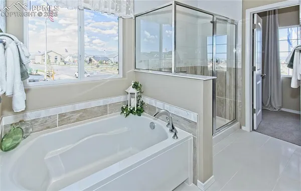 a bathroom with a bathtub and a shower