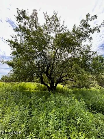 $279,900 | 4882 Potter Hollow Road, Rensselaerville, NY 12469