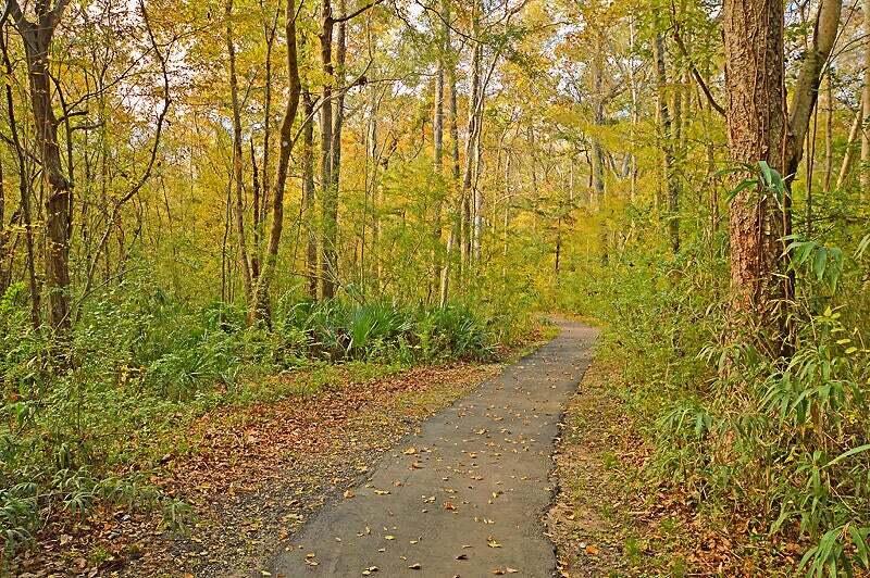 122 Towne Square Road Summerville, SC 29485 - Photo 21 of 22 Walking Trails