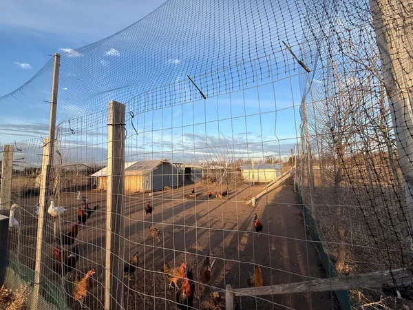 $409,999 | 47575 Falcon Avenue, Rush City, MN 55069