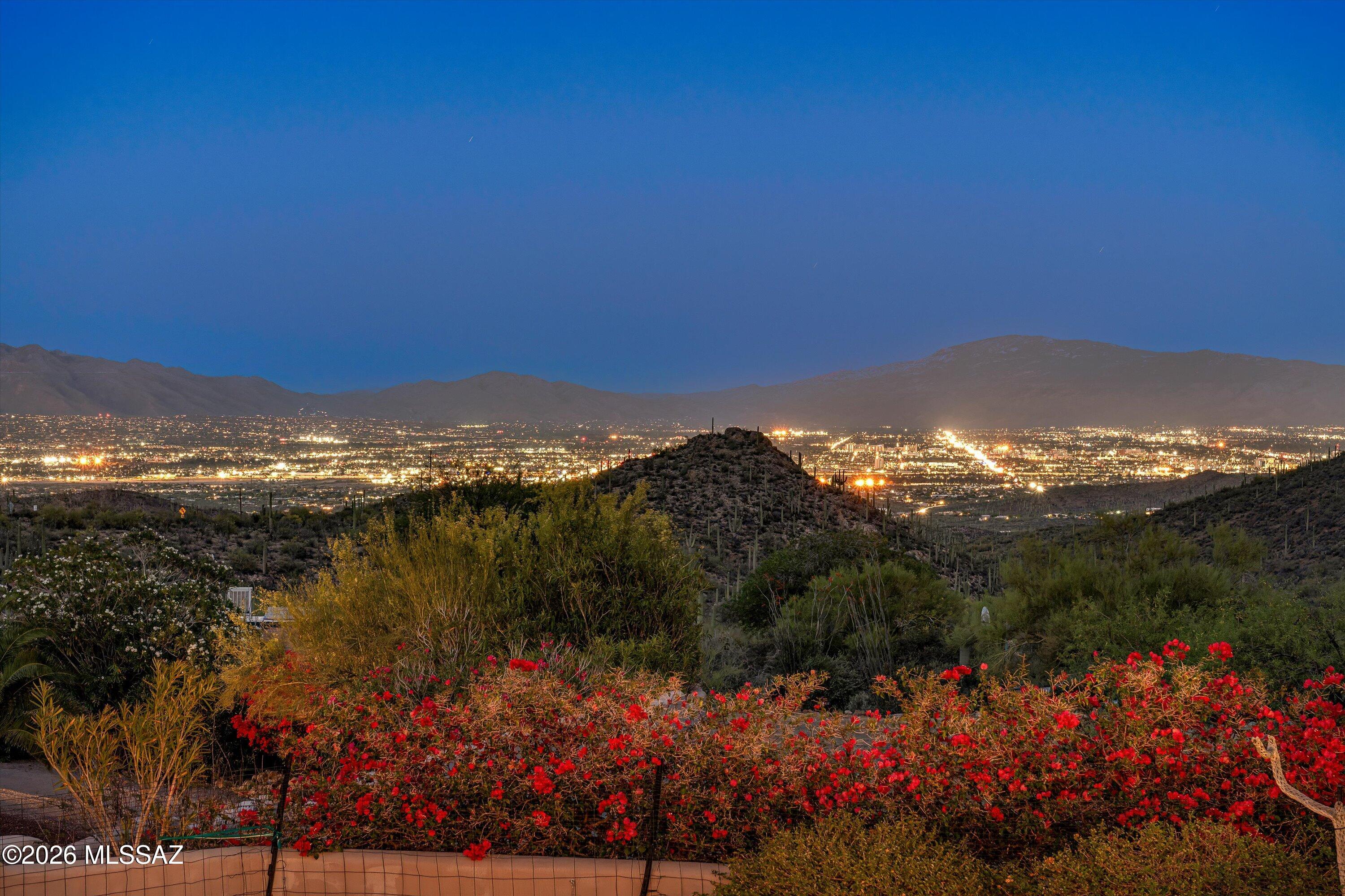 6262 West Trails End Road Tucson, AZ 85745 - Photo 5 of 51 Backyard View