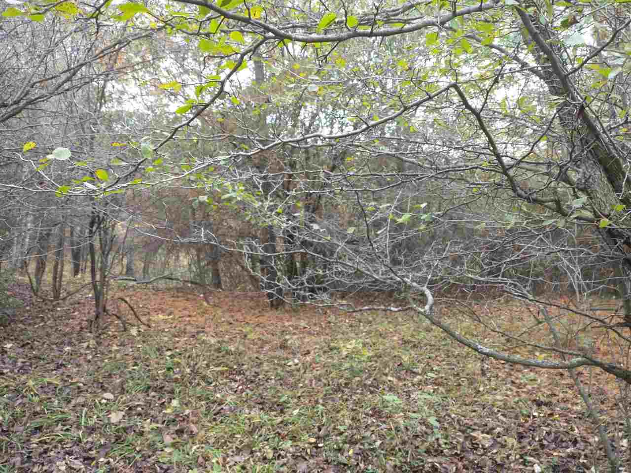 Lot 263 Islanders Way Gladwin, MI 48624 - Photo 11 of 14