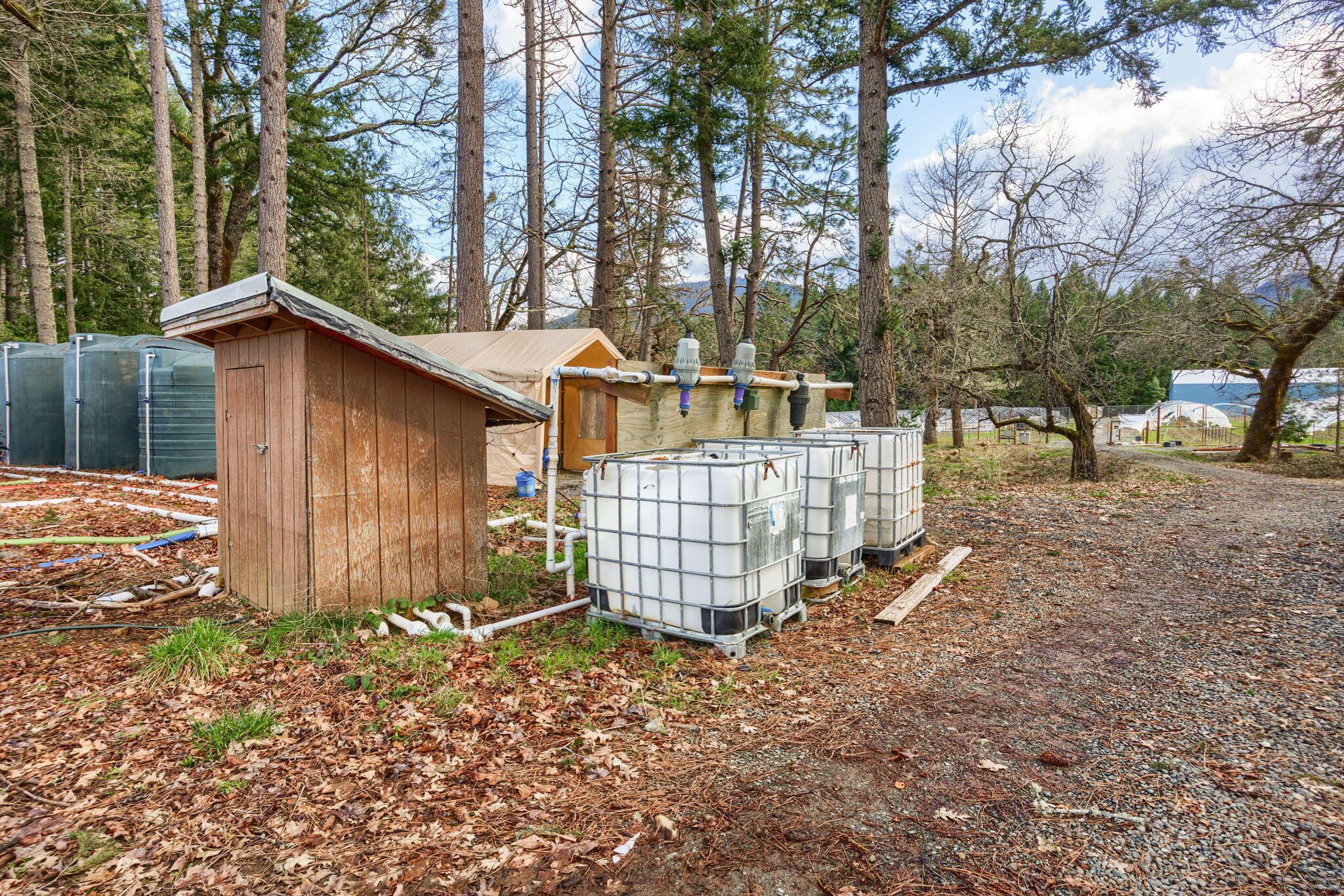 3551 Cedar Flat Road Williams, OR 97544 - Photo 33 of 53 CF (29)