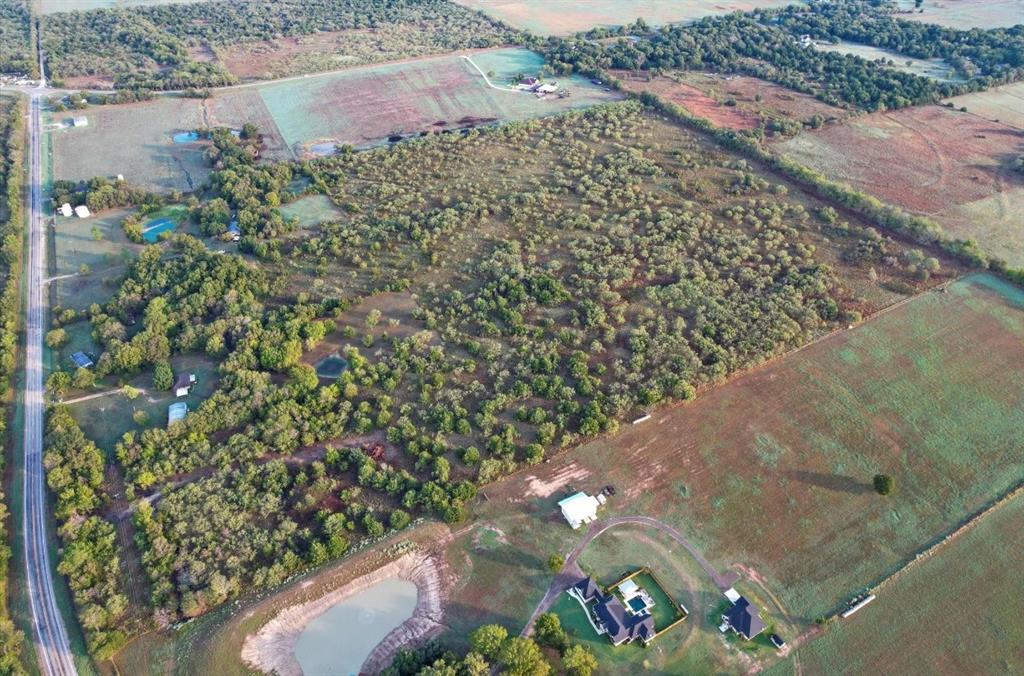 1774 Fm 667 Purdon, TX 76679 - Photo 8 of 10 view of the tree