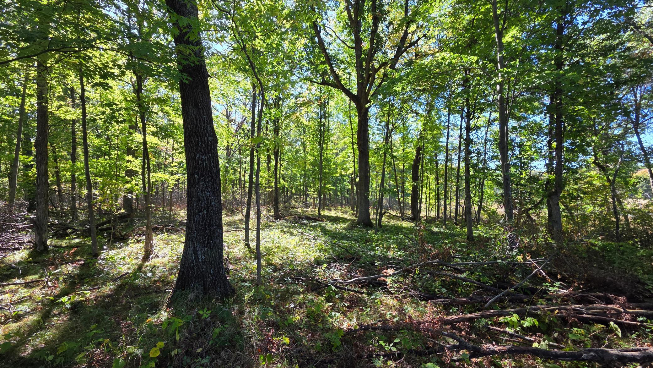 Xxx Xxx Herrick Road Frederic, WI 54837 - Photo 4 of 21