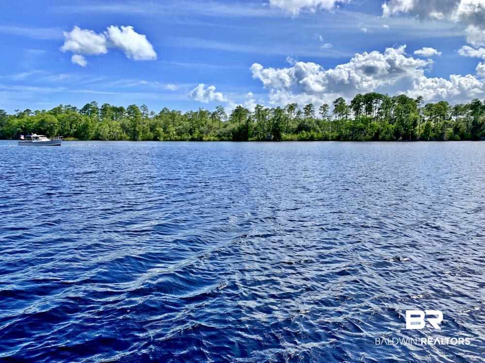 0 Three 3 Rivers Road Seminole, AL 36574 - Photo 5 of 27