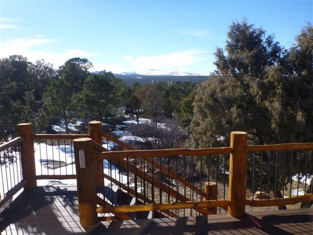 317 Tower Road South Ridgway, CO 81432 - Photo 8 of 26 Picture 012