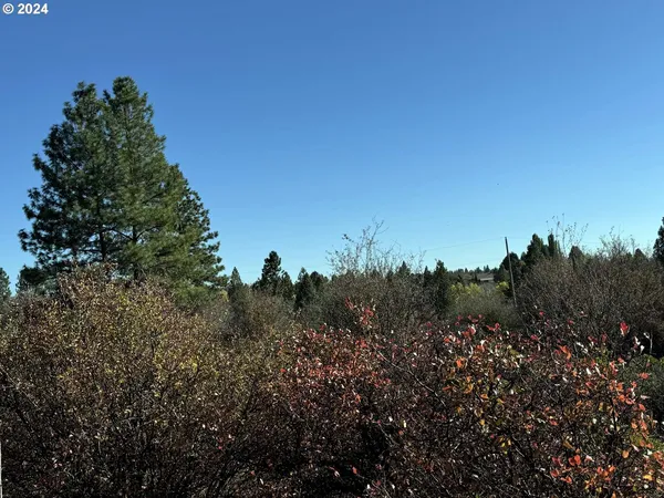 $10,000 | East Lake Avenue, Chiloquin, OR 97624