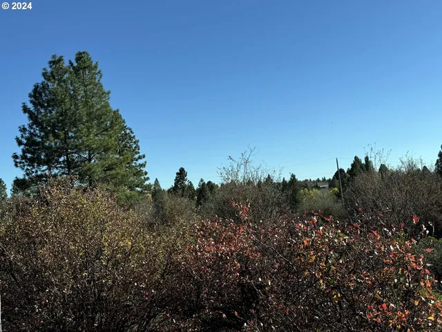 $10,000 | East Lake Avenue, Chiloquin, OR 97624