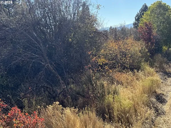 $10,000 | East Lake Avenue, Chiloquin, OR 97624