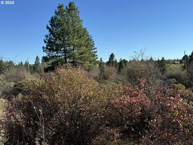 $10,000 | East Lake Avenue, Chiloquin, OR 97624
