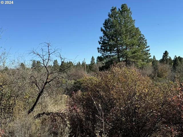 $10,000 | East Lake Avenue, Chiloquin, OR 97624