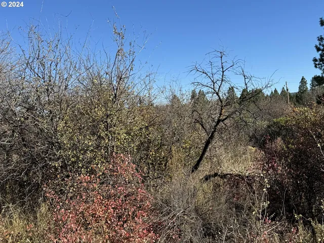 $10,000 | East Lake Avenue, Chiloquin, OR 97624