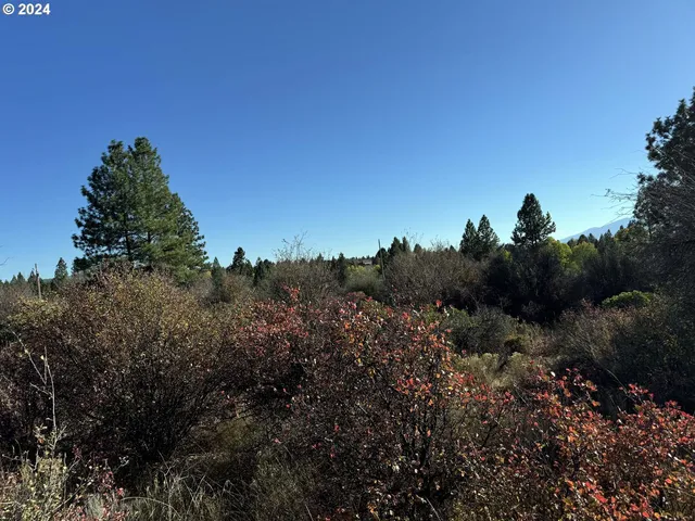 $10,000 | East Lake Avenue, Chiloquin, OR 97624