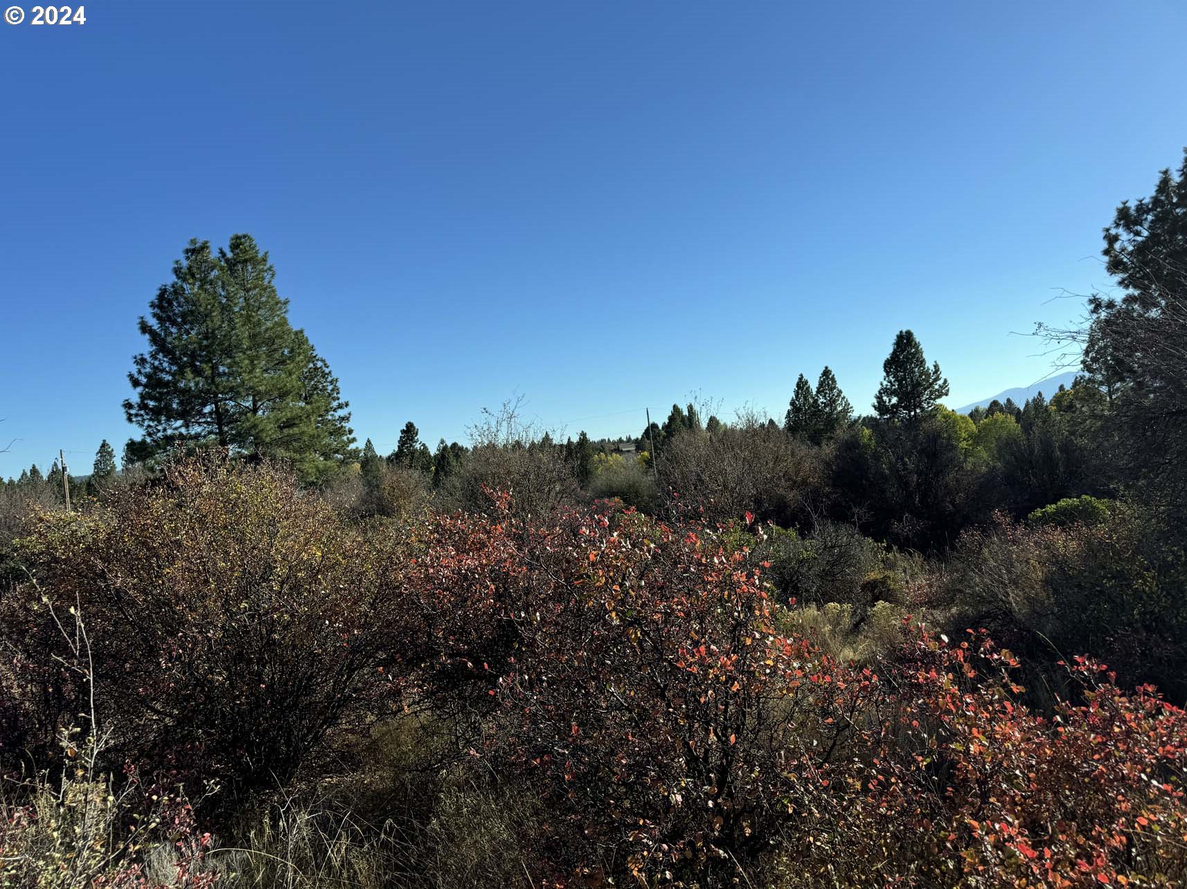 East Lake Avenue Chiloquin, OR 97624 - Photo 3 of 16