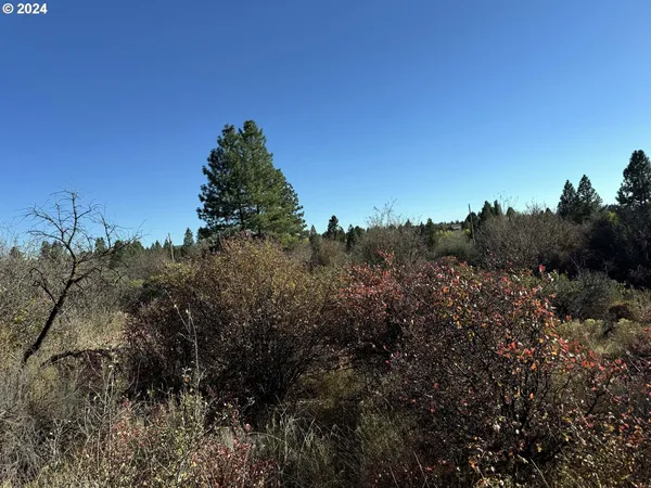 $10,000 | East Lake Avenue, Chiloquin, OR 97624