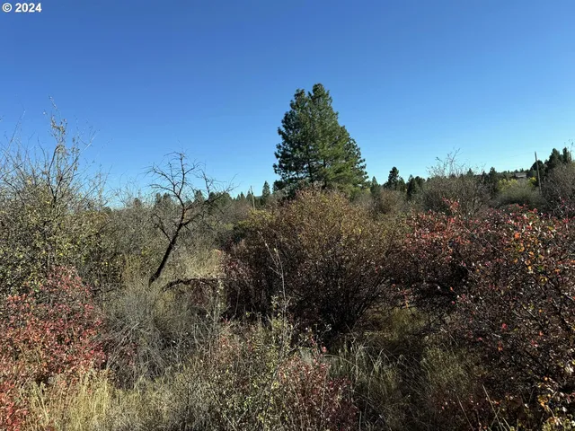 $10,000 | East Lake Avenue, Chiloquin, OR 97624
