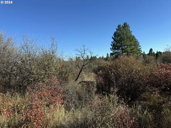 $10,000 | East Lake Avenue, Chiloquin, OR 97624