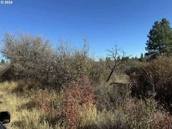 $10,000 | East Lake Avenue, Chiloquin, OR 97624