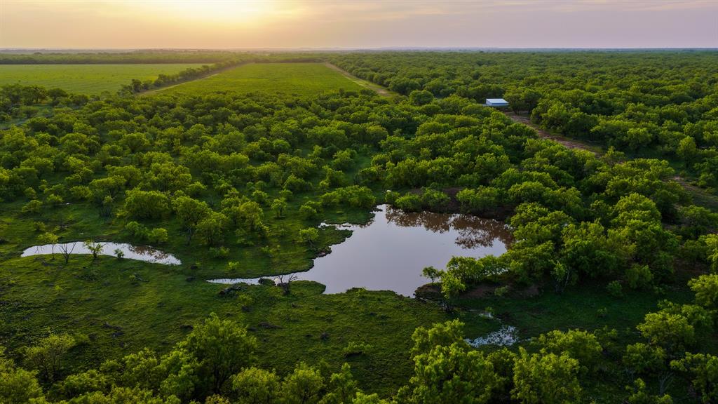10000 Fm 209 Graham, TX 76450 - Photo 3 of 40