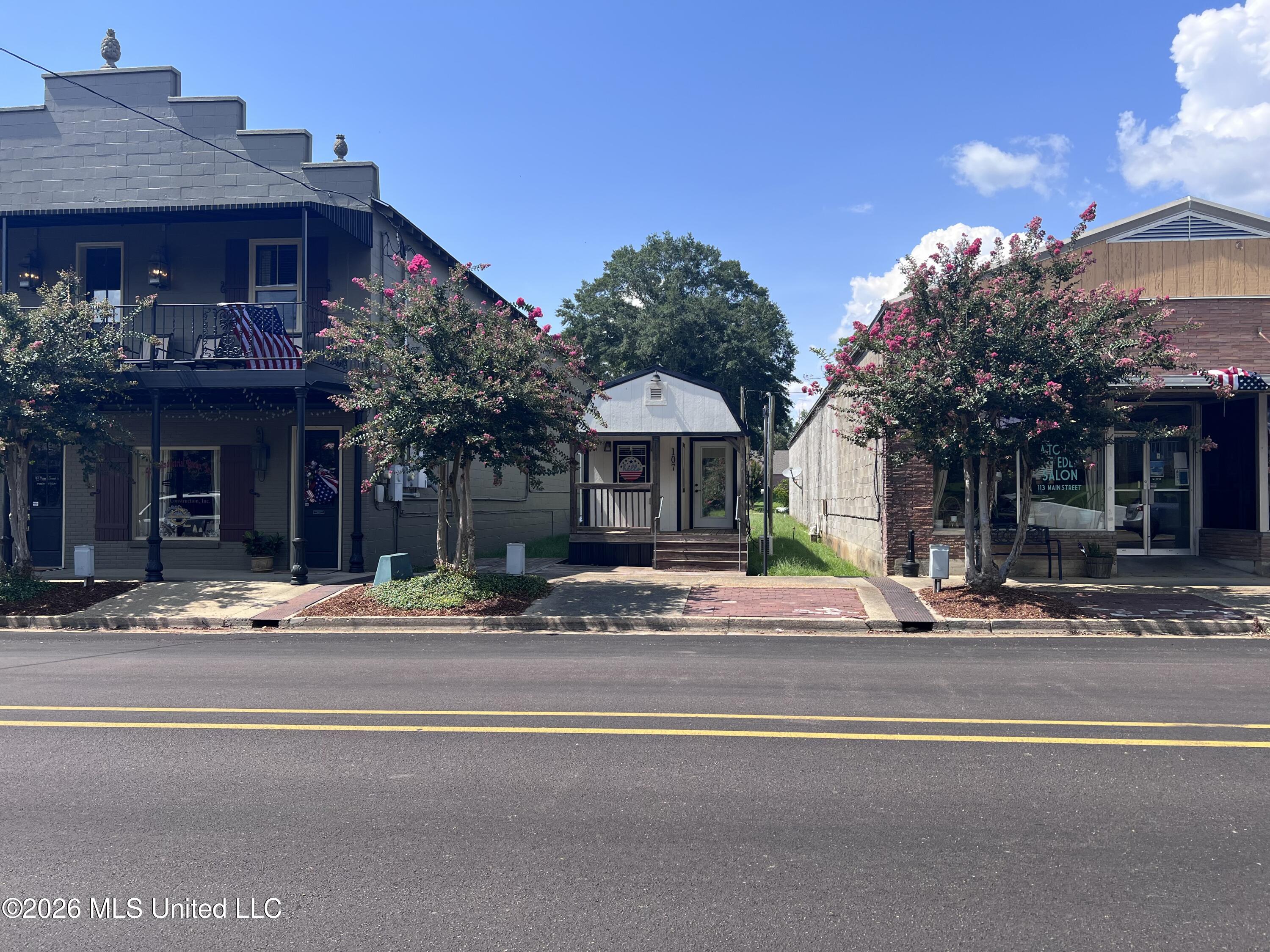 107 Main Street Meadville, MS 39653 - Photo 2 of 15 IMG_4022