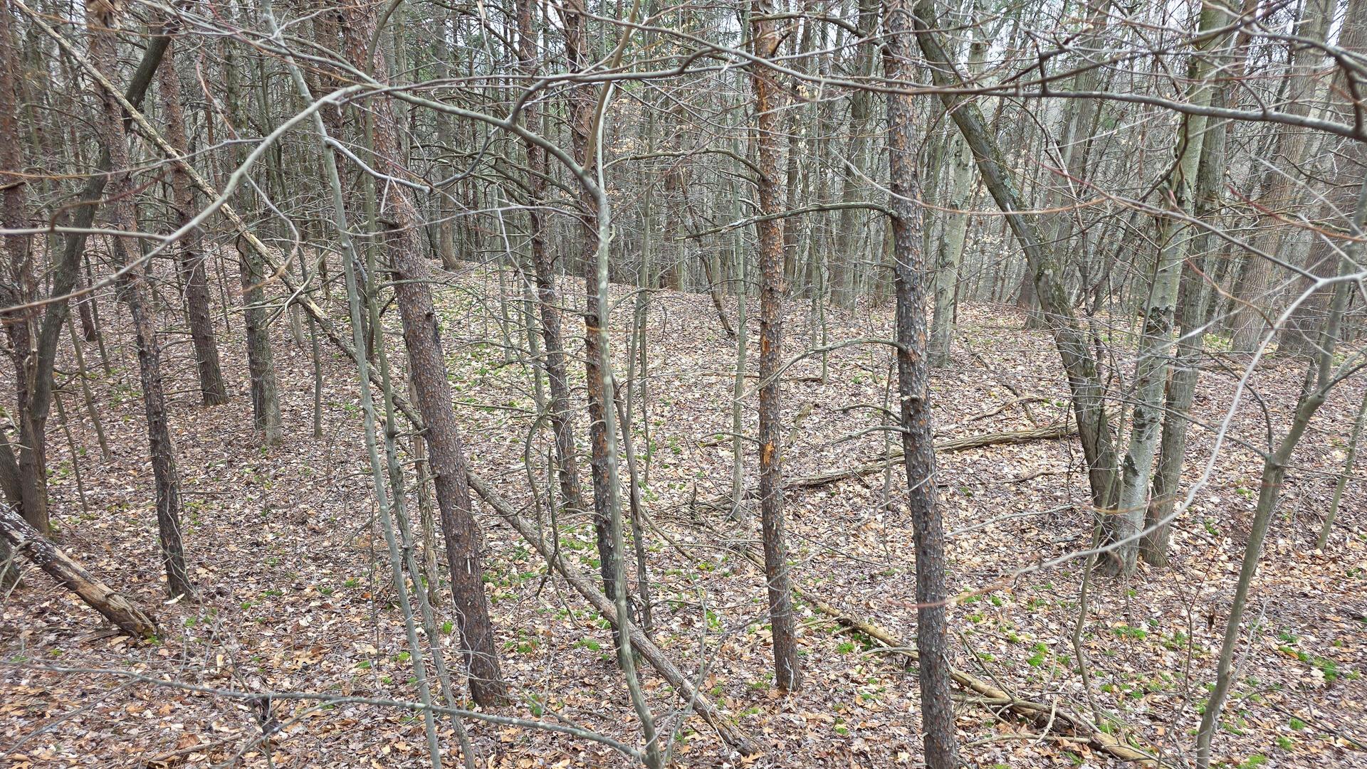 818 Campaign Poplar Road, Unit PONDS POPLAR RIDGE TRACT 4) Gallipolis, OH 45631 - Photo 19 of 24 CT-19
