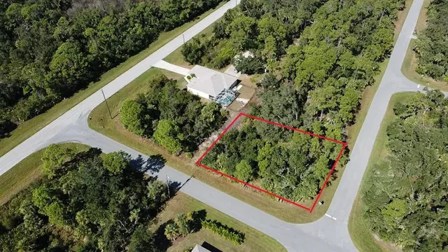 a view of a garden with plants