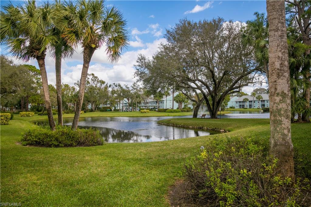113 Wading Bird Circle, Unit W204 Naples, FL 34110 - Photo 11 of 17 a view of lake with houses