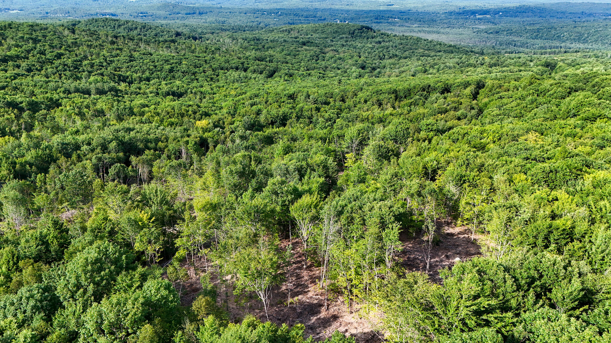 54.62 McAlister Road Buckfield, ME 04220 - Photo 24 of 80 dji_fly_20240718_171222_0089_17213512912